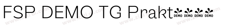 FSP DEMO TG Prakt字体转换 FSP DEMO TG Prakt字体转换